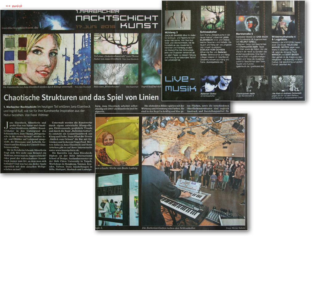 Zeitungscollage zur 1. Marbacher Nachtschicht Kunst, Störgeräusche in der neuen Heimat, Künstlerportrait Jana Elzenbeck