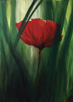 Mohnblume im Dschungel